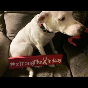 Meet your Posher, Linda